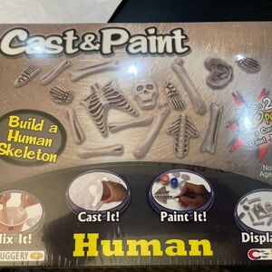 Human Skeleton Custom Cast & Paint Kit - 18 " - Bones Project Science - NIB